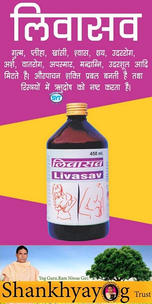 Livasav 450ml