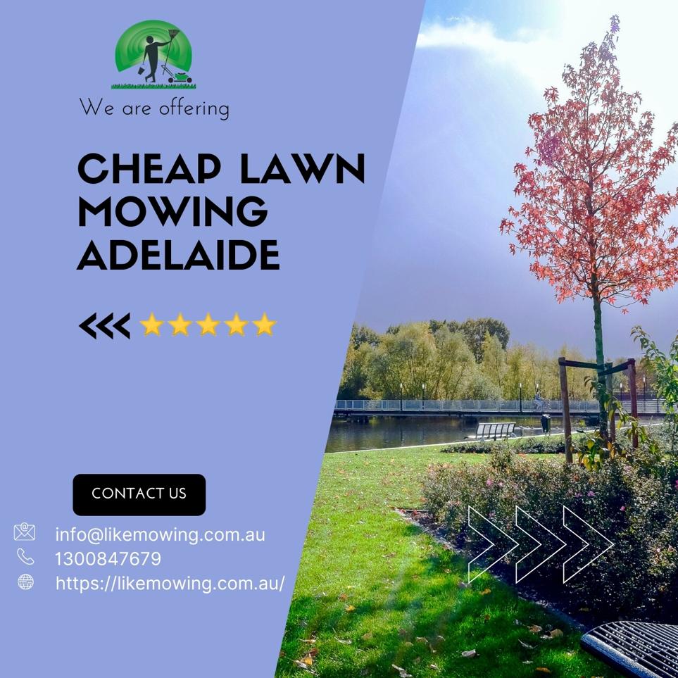 Lawn Mowing & Garden Services in Adelaide | Like Mowing