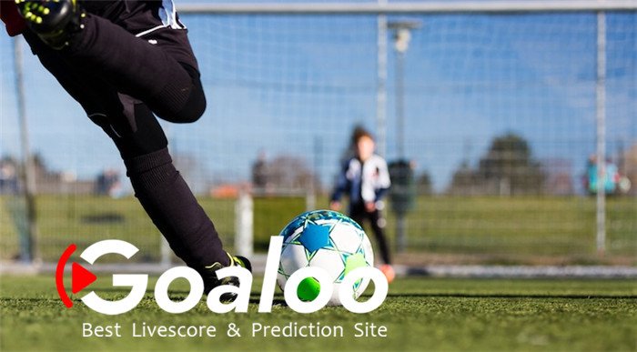 a useful platform for football fans: Goaloo soccer